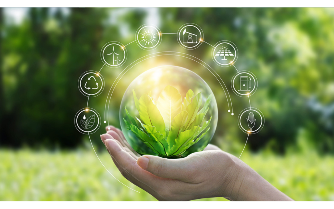 Transizione digitale ed ecologica: ecco il futuro del made in Italy