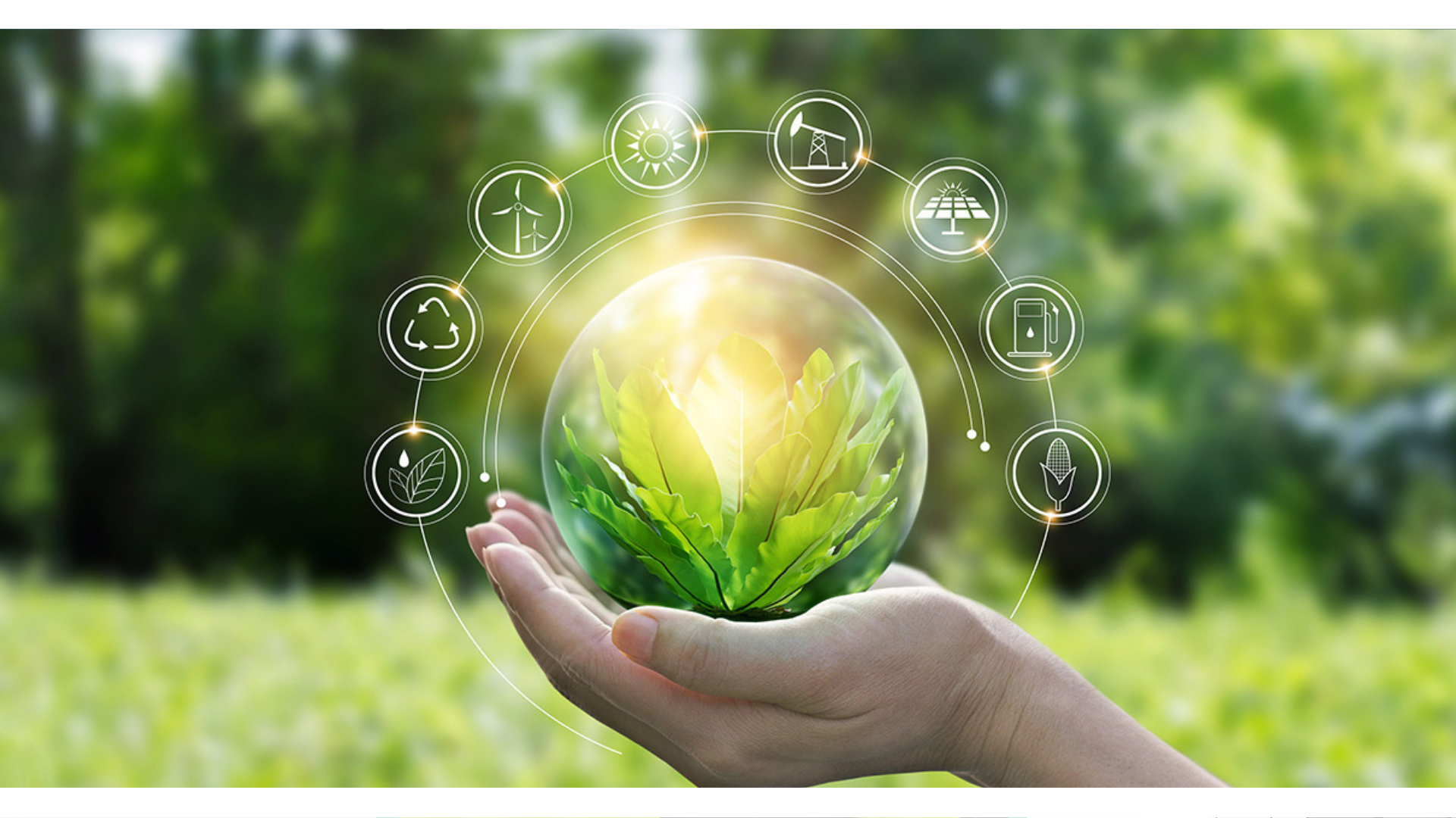 Transizione digitale ed ecologica ecco il futuro del made in Italy Transizione digitale ed ecologica: ecco il futuro del made in Italy