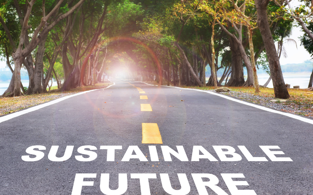 Il digital divide frena la transizione sostenibile