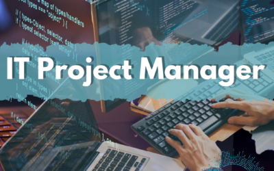 IT Project Manager